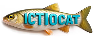 ictio.cat