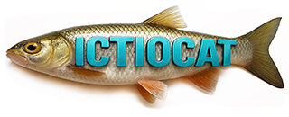 ictio.cat